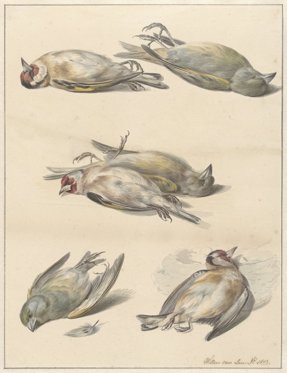 Seis pássaros mortos de Willem van Leen