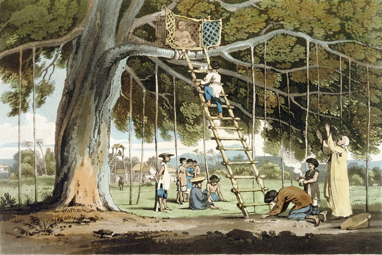Uma Oferta de Primeiros Frutos ao Deus Fo, prato 16 de &39;A Voyage to Cochinchina&39; de John Barrow (1764-1848) gravado por Thomas Medland (1755-1823) 1806 (aquatint) de William Alexander