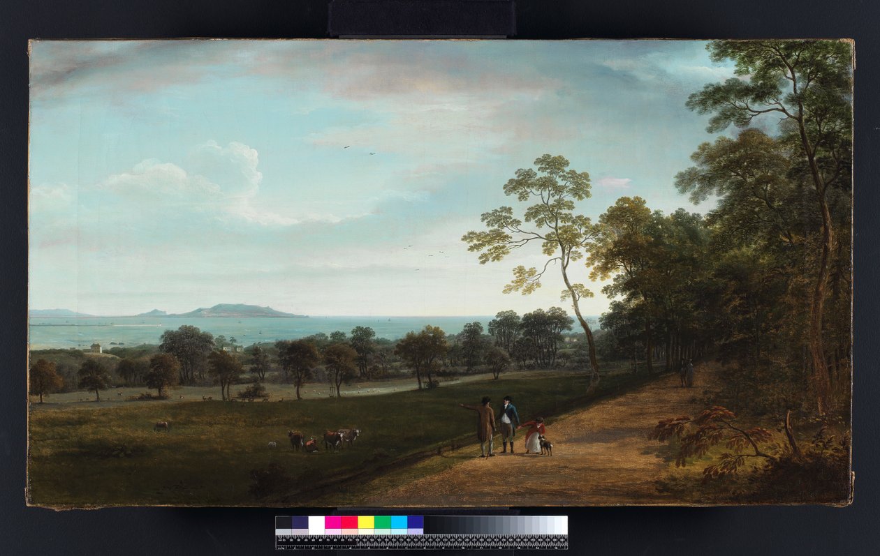Vista no parque Mount Merrion, 1806 de William Ashford