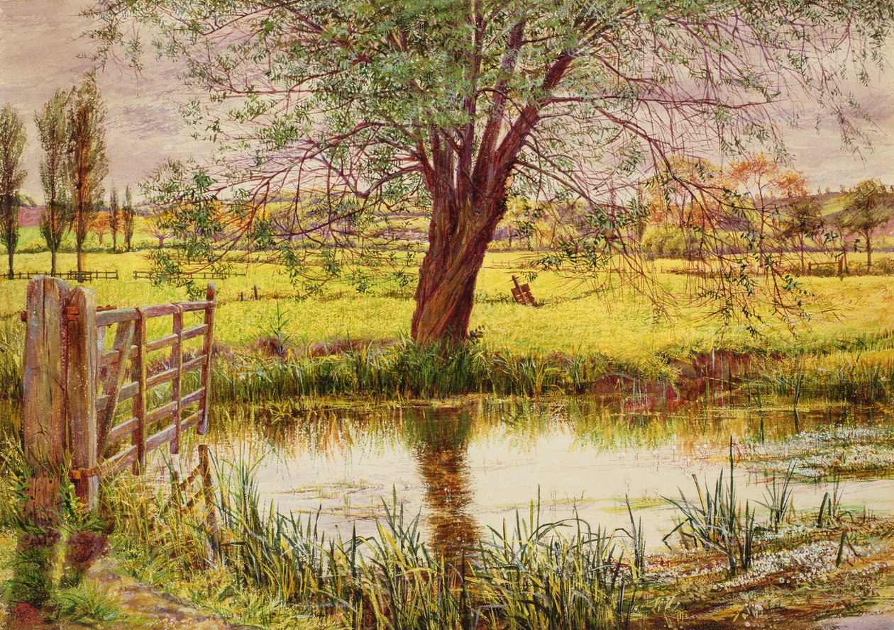 Prado da Água, 1865 de William Bell Scott