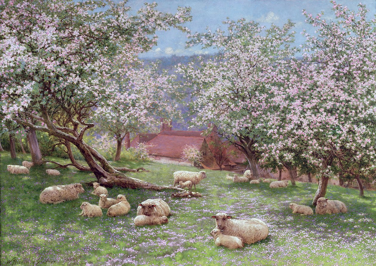 Flor de maçã de William Biscombe Gardner