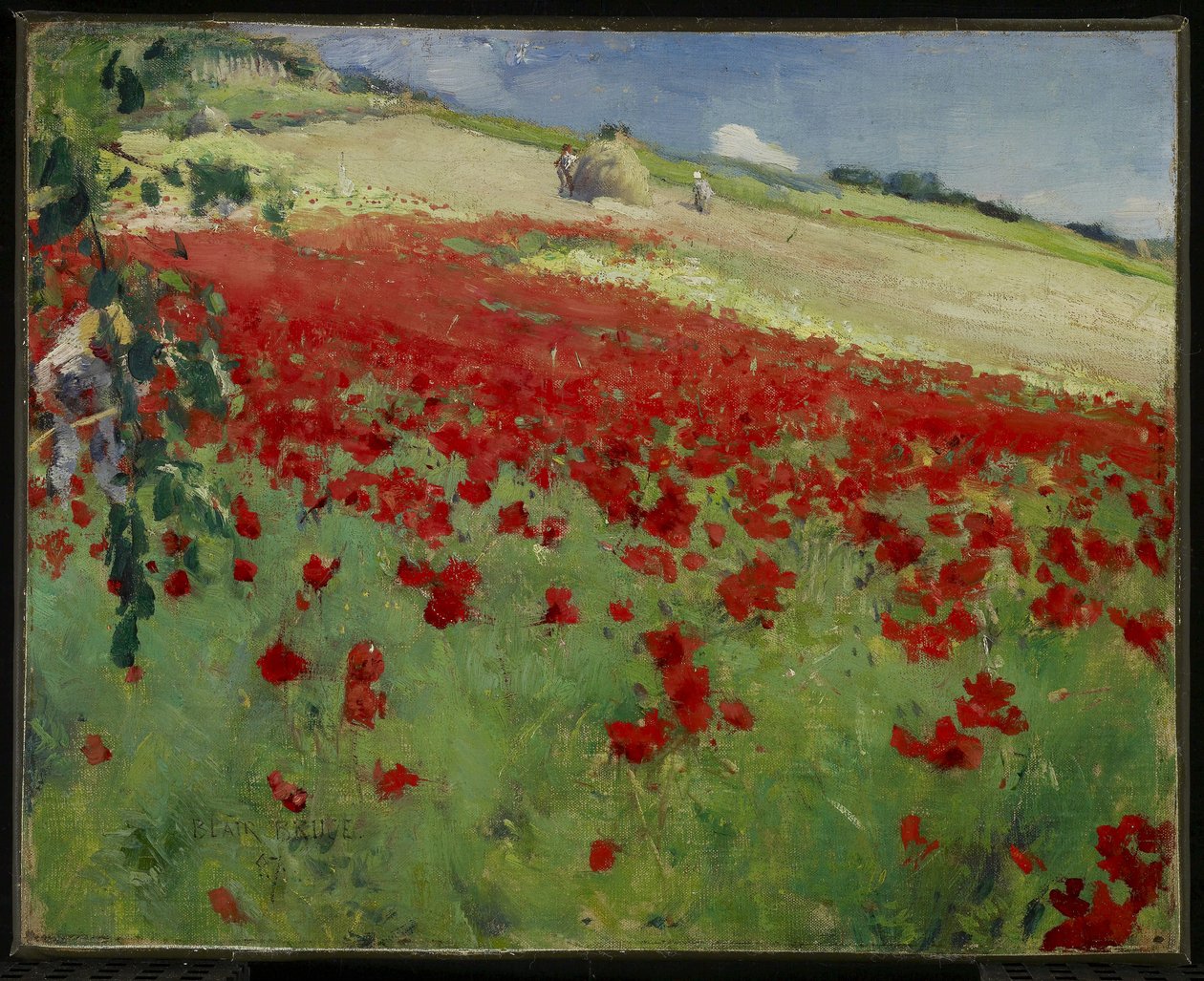 Paisagem com papoulas, 1887 de William Blair Bruce