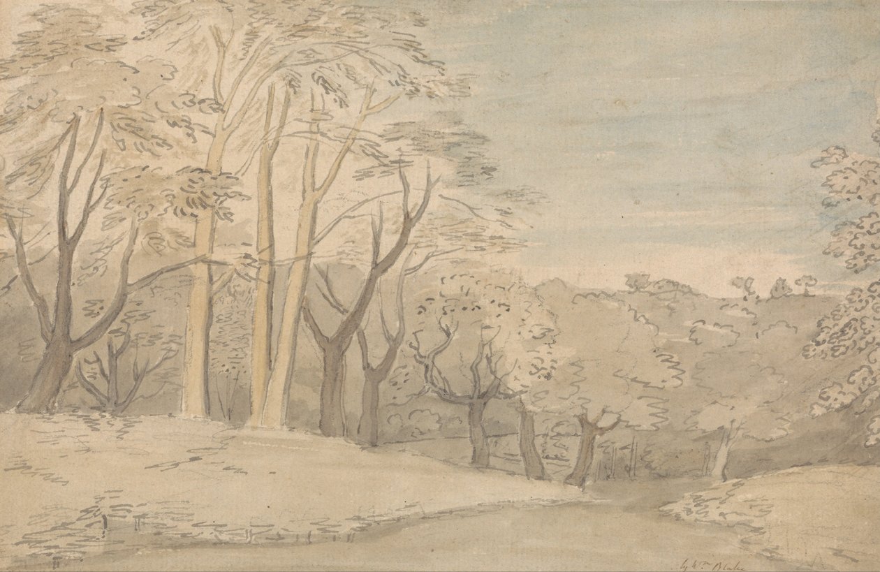 Uma paisagem arborizada de William Blake