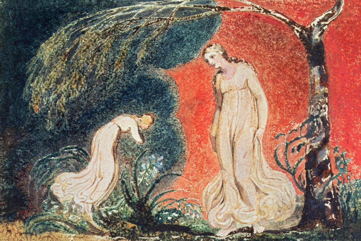 Livro de Thel; a Lily se curvando diante de Thel, antes de sair "para cuidar de sua numerosa carga entre a grama verdejante", 1789 (relevo impresso a cores, wc) de William Blake