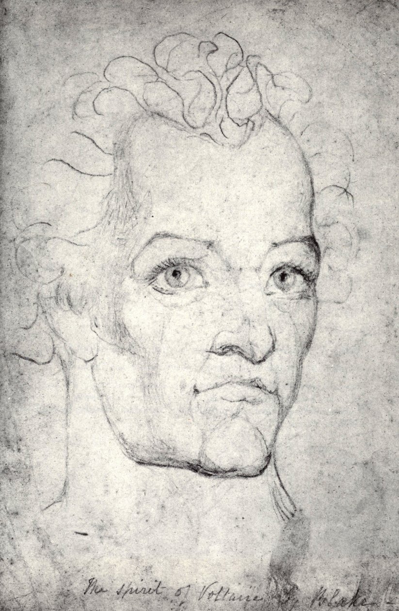 Cabeça de Voltaire de William Blake