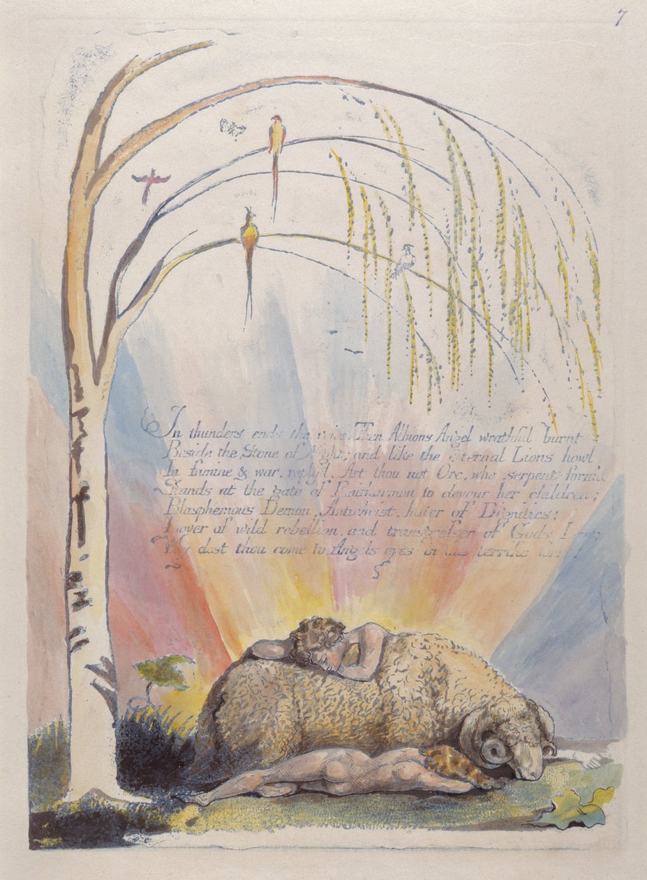 Em trovões termina a voz ..., placa 9 da América: A Prophecy, 1793 (gravura em relevo impressa em azul com caneta e tinta e wc) de William Blake