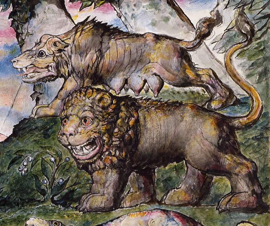 Leão e lobo de William Blake