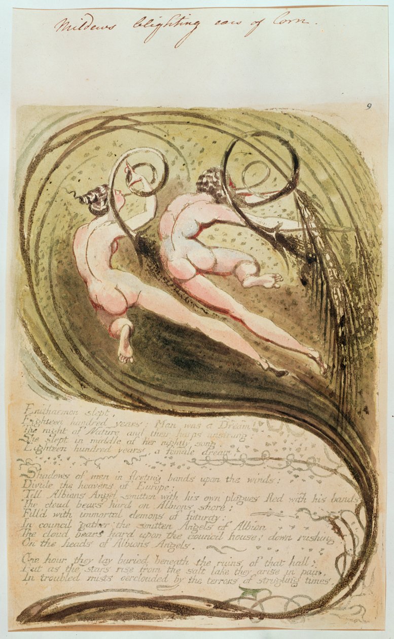 Mildew Blighting Ears of Corn de William Blake