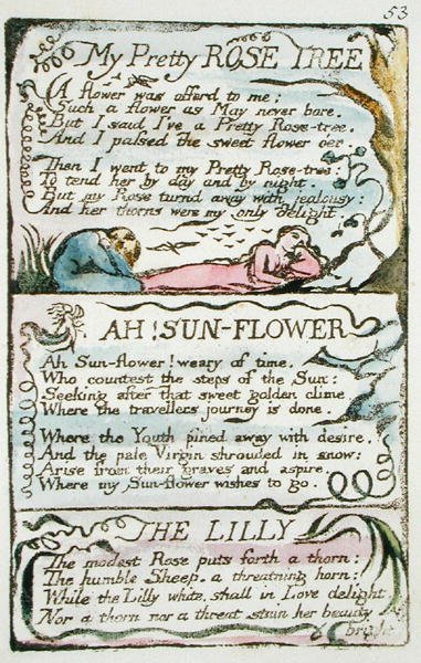 My Pretty Rose Tree, prato 53 (Bentley 43) de As Canções da Inocência e da Experiência (cópia Bentley L) 1789-94 (relevo gravura com caneta e wc no papel) de William Blake