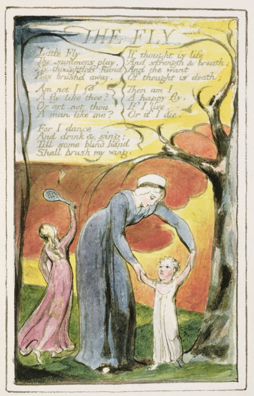 P.124-1950.pt41 The Fly: plate 41 de &39;Songs of Innocence e of Experience&39; (exemplar R) c.1802-08 (gravura, tinta e wc) de William Blake