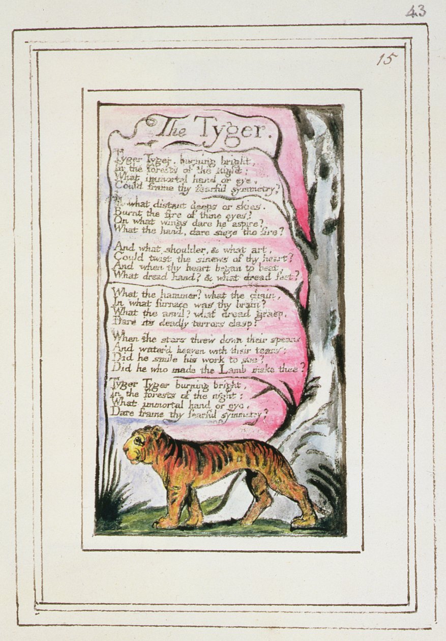 P.124-1950.pt43 O Tyger: placa 43 de &39;Canções da Inocência e da Experiência&39; (exemplar R) c.1802-08 (gravura, tinta e wc) de William Blake