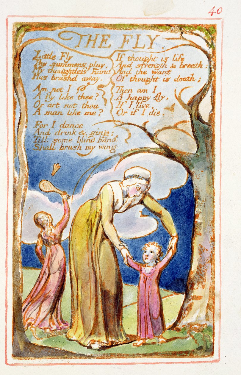 P.125-1950.pt40 The Fly: plate 40 de Songs of Innocence e of Experience (exemplar AA) c.1815-26 (gravura, tinta e wc) de William Blake