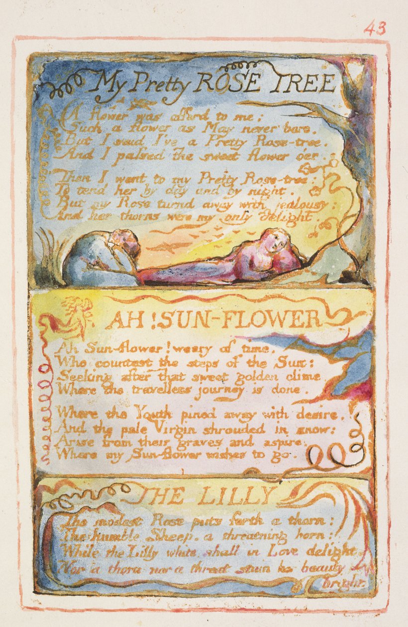P.125-1950.pt43 My Pretty Rose Tree; Ah! Girassol; The Lilly: plate 43 de Songs of Innocence e de Experience (cópia AA) c.1815-26 (gravura, tinta e wc) de William Blake
