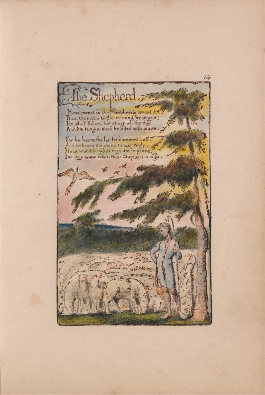 Canções da Inocência e da Experiência de William Blake
