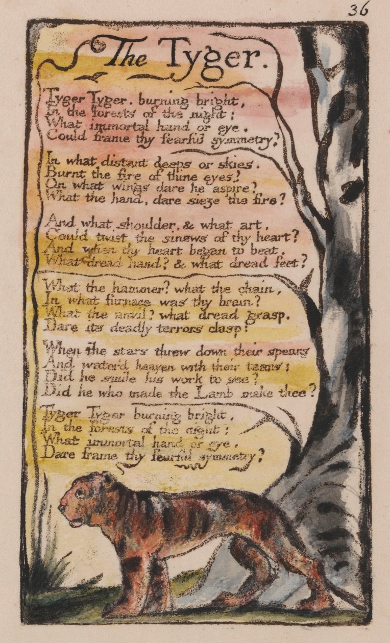 Canções da Inocência e da Experiência, Placa 36, The Tyger (Bentley 42) de William Blake
