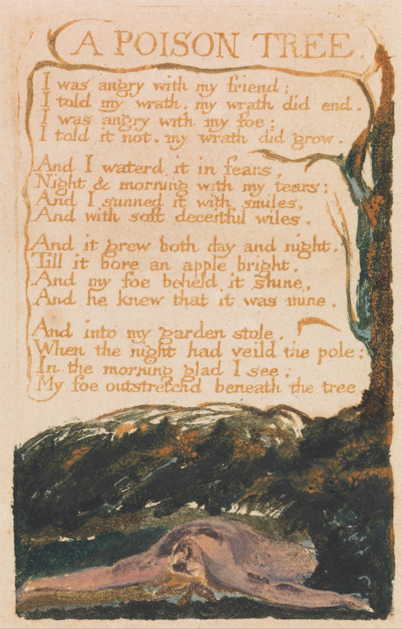 Canções da Inocência e da Experiência, Placa 41, Uma Árvore Venenosa (Bentley 49) de William Blake