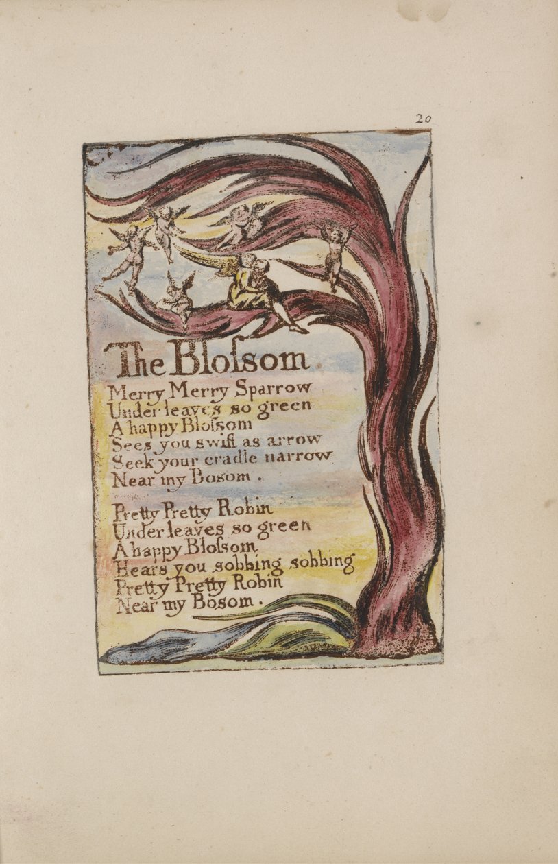 The Blossom, prato 28 de Songs of Innocence, 1789 (relevo colorido à mão gravura com wc no papel) de William Blake