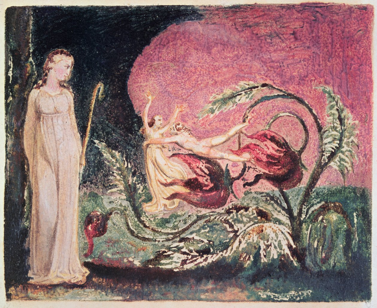 O livro de Thel: página de título, 1794 (gravura de relevo impressa a cores) de William Blake
