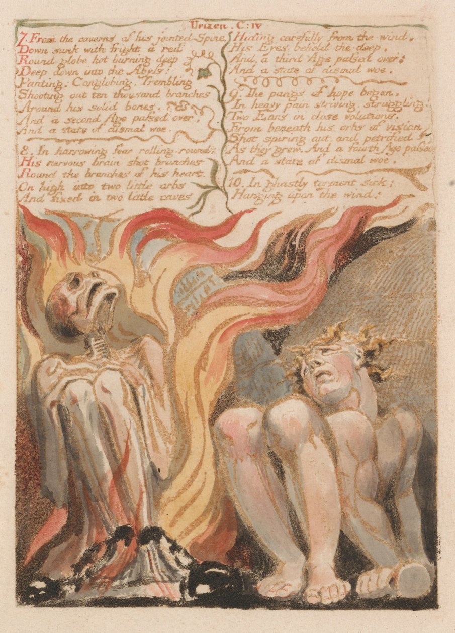 O Primeiro Livro de Urizen, Prancha 14, 7. Das Cavernas de Sua Espinha Articulada .... (Bentley 11) de William Blake