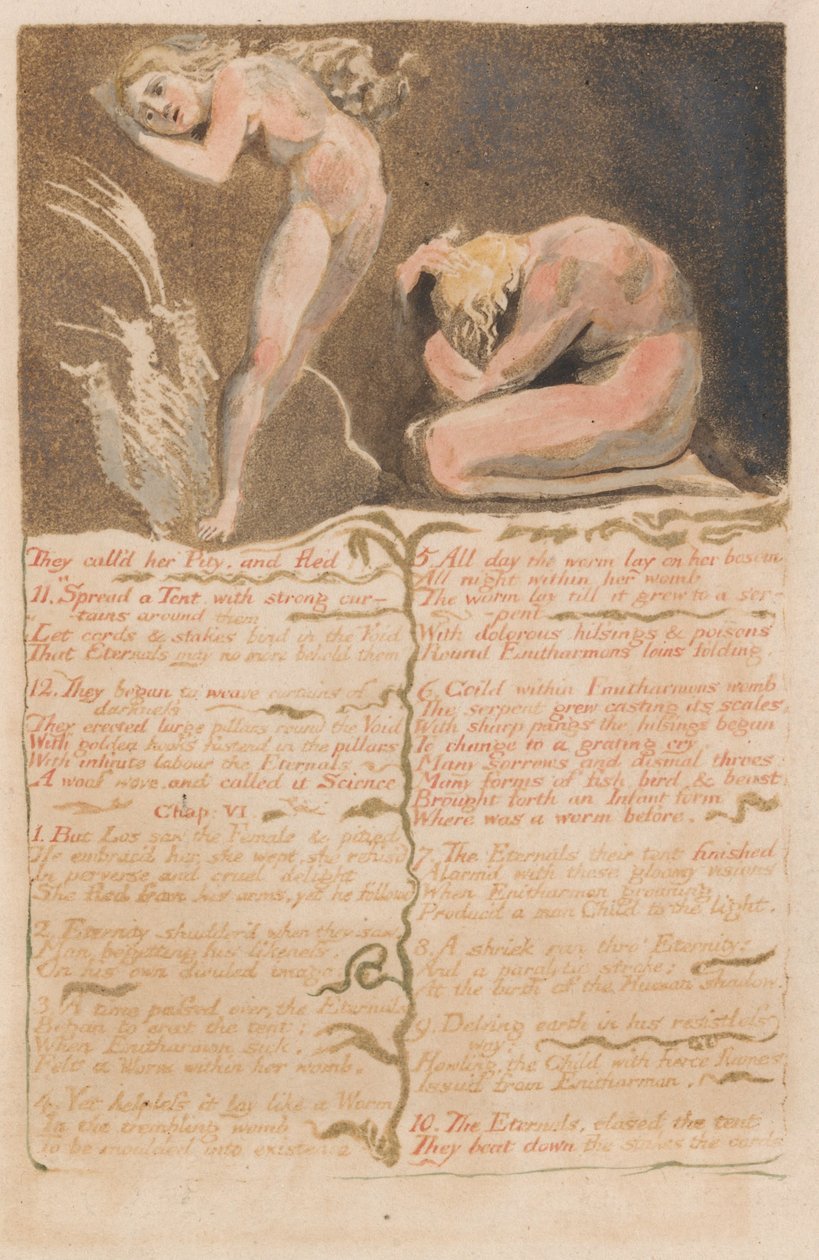 O primeiro livro de Urizen, placa 19, eles chamam sua piedade e fugiram .... (Bentley 19) de William Blake