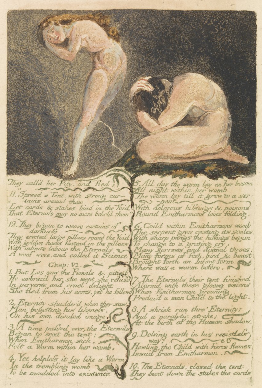 O Primeiro Livro de Urizen, prato 17, Eles chamaram-lhe Piedade e fugiu .., 1794 (gravura em relevo com wc) de William Blake