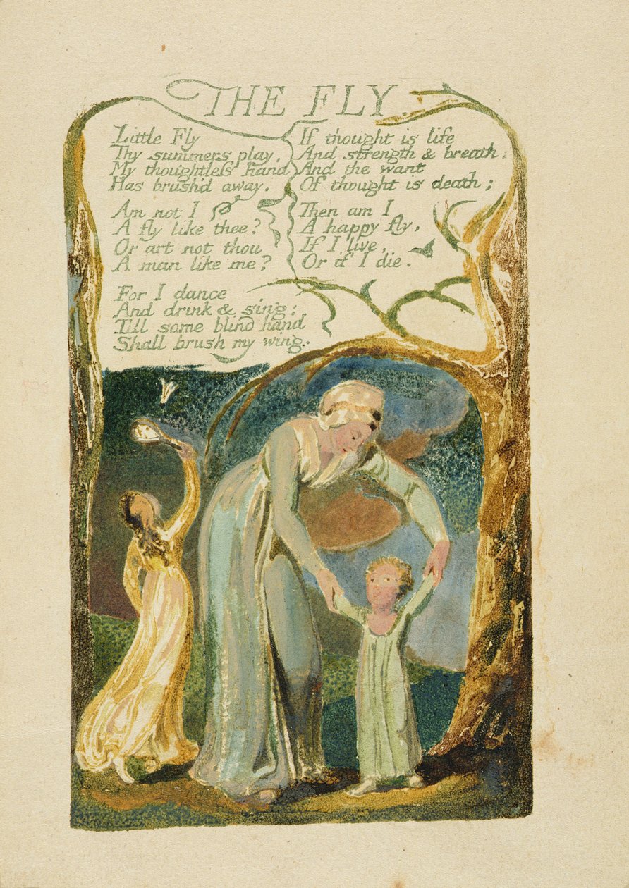 &39;The Fly&39;, prato 47 de &39;Songs of Experience,&39; 1794 (cor impressa relevo gravura com aquarela) de William Blake