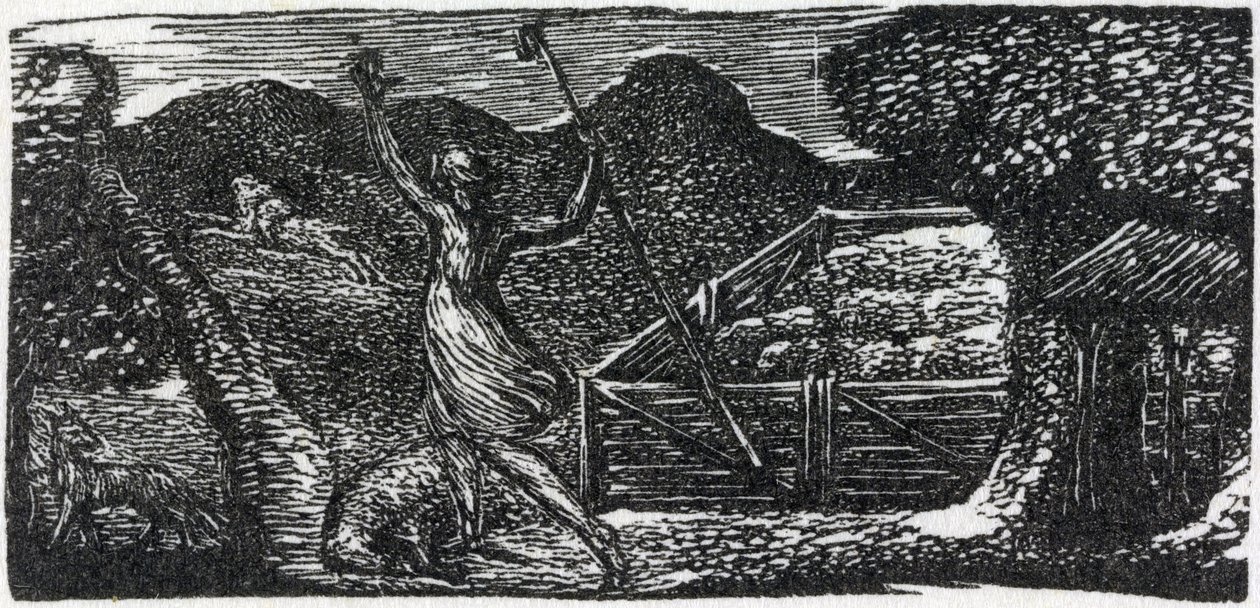 O Bom Pastor afugenta o Lobo, ilustração de "The Pastorals of Virgil", do Dr. Thornton de William Blake