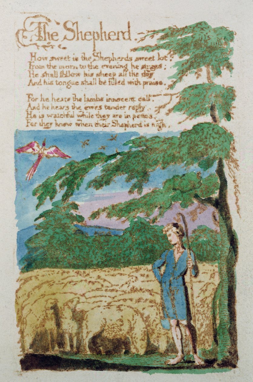 O pastor, de canções de inocência, 1789 (gravura colorida) de William Blake