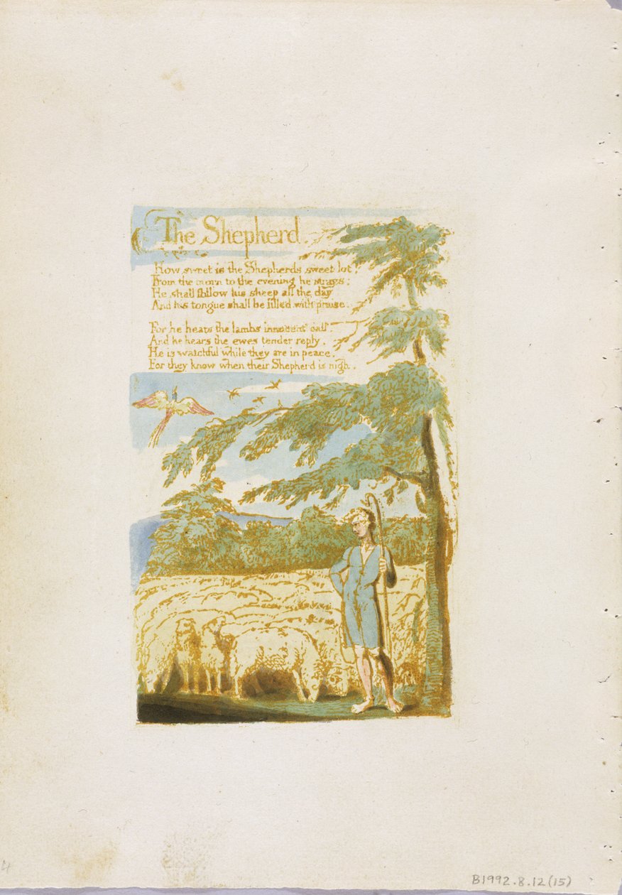 &39;The Shepherd&39;, prato 15 de &39;Songs of Innocence&39;, 1789 (relevo gravado com wc no papel) de William Blake
