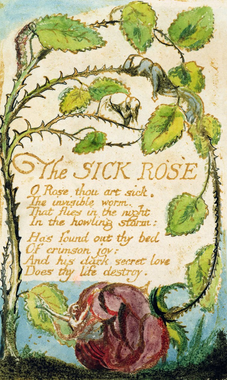 The Sick Rose, de Songs of Innocence (gravura, tinta e wc) de William Blake