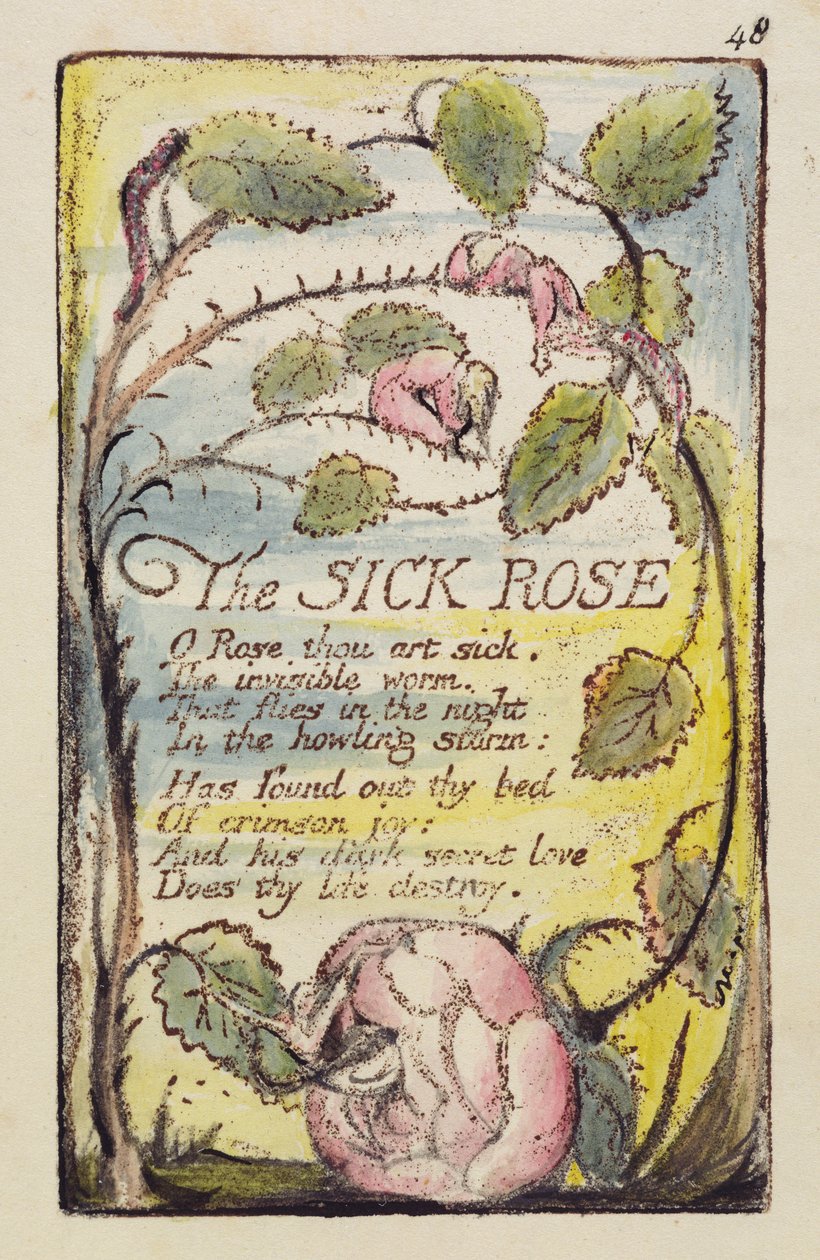 &39;The Sick Rose&39;, placa 48 de &39;Songs of Innocence and of Experience&39; [Bentley 39] c.1789-94 (relevo gravado em marrom escuro com caneta e tinta e wc) de William Blake