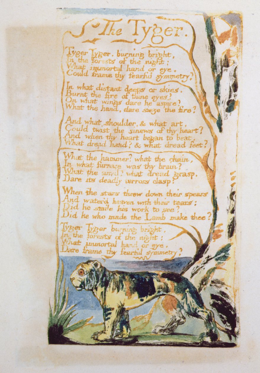 O Tyger, de canções da inocência de William Blake