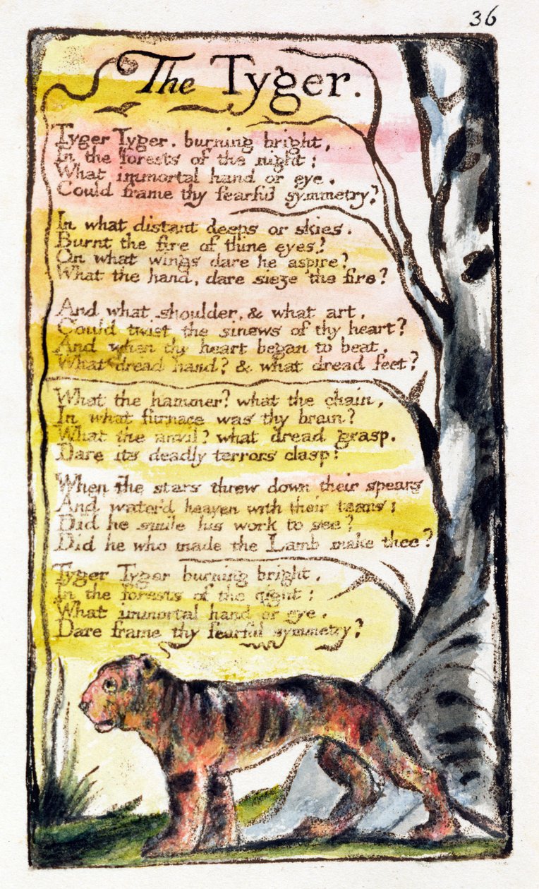 &39;The Tyger&39;, placa 36 (Bentley 42) de &39;Songs of Innocence e de Experience&39; (Bentley Copy L) 1789-94 (gravura em relevo com caneta e wc) de William Blake