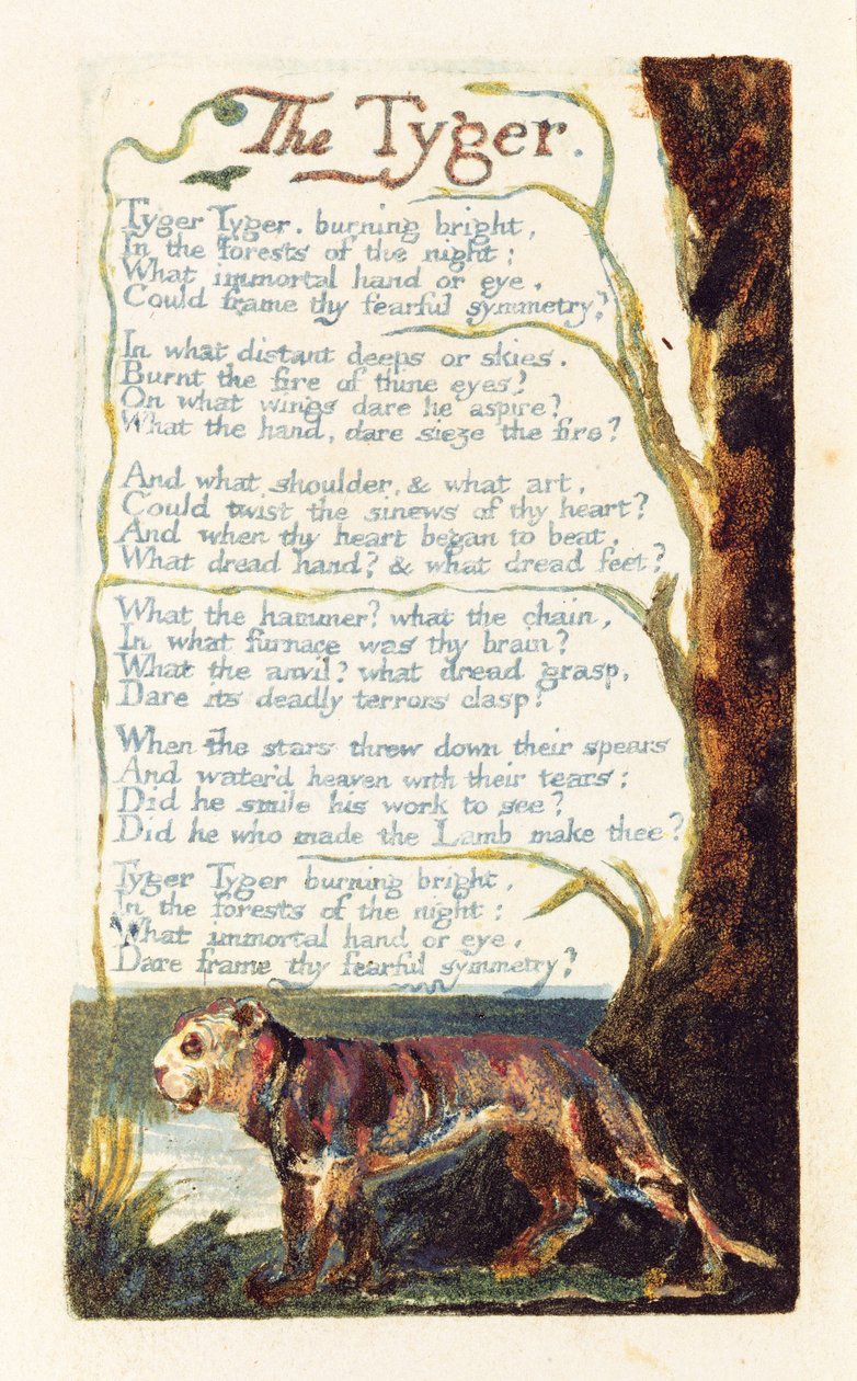 &39;The Tyger&39;, prato 41 de &39;Songs of Experience&39;, 1794 (gravura em relevo com wc) de William Blake
