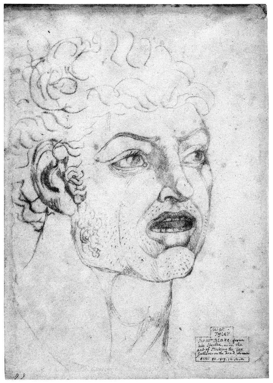O que Tyler de William Blake