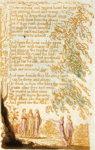 When Wolves and Tygers Howl ..., prato 17 de Songs of Innocence, 1789 (gravura em relevo com wc no papel) de William Blake
