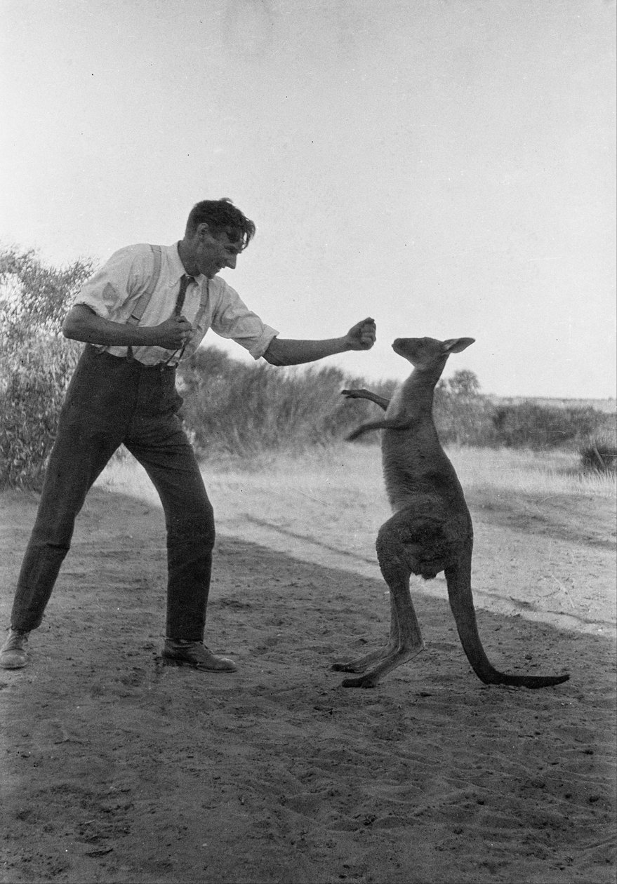 Bill Boyd boxe com seu canguru de estimação, Kanga Joe de William Boyd