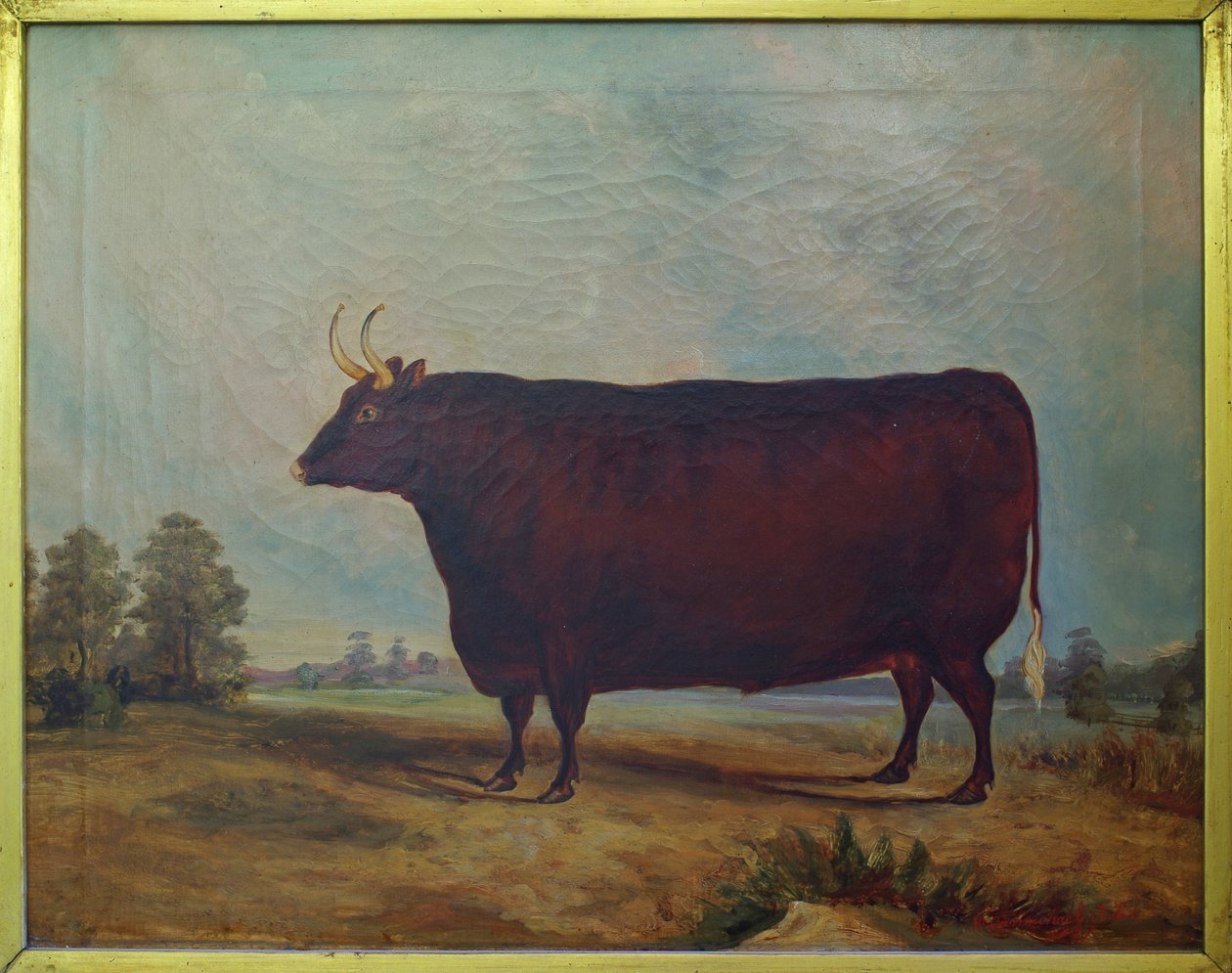 Um boi do norte de Devon em uma paisagem, 1837 de William Carmichael Baker