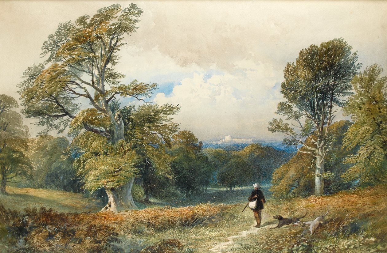 Tiro áspero em Windsor Great Park (wc no papel) de William Collingwood Smith