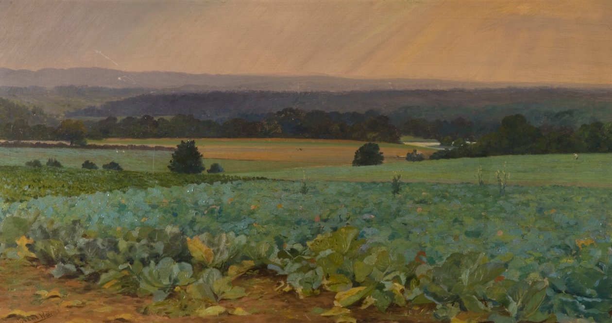 Nabo Campo de William Cosens Way