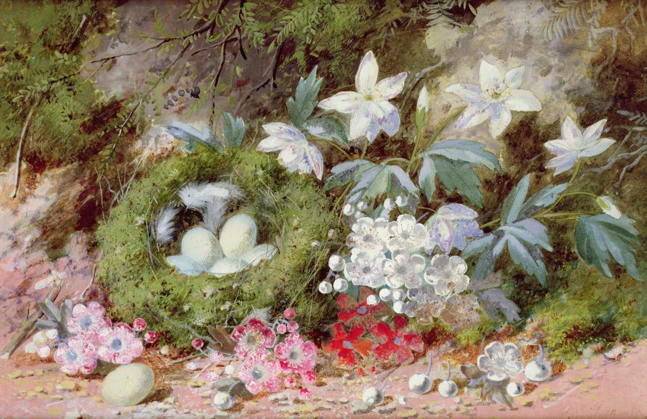 Ainda vida com ninho de pássaros de William Cruikshank