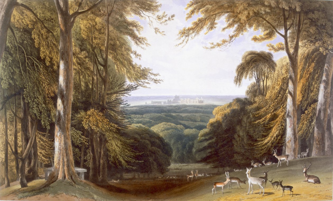 Glen, em Windsor Park, perto de Bishops Gate, de "Vistas de Windsor, Eton e Virginia Water", c.1827-30 de William Daniell