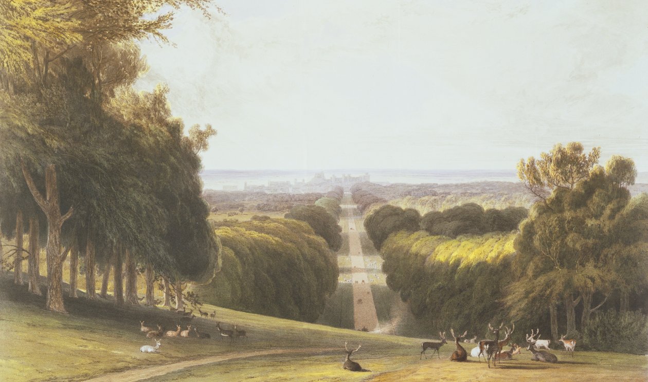 The Long Walk, Windsor Park, de uma compilação de vistas de Windsor, Eton e Virginia Water, c.1827-30 de William Daniell