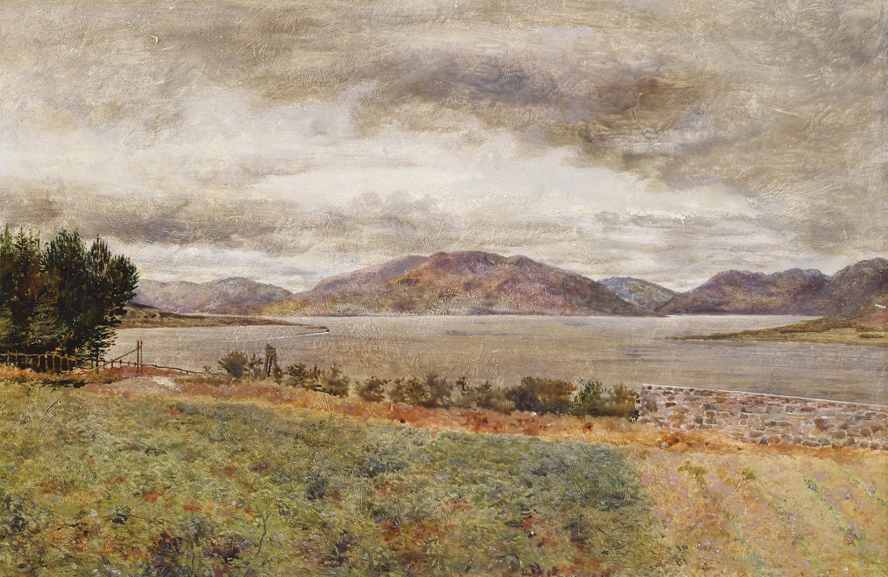 Loch Strivan de William Davis