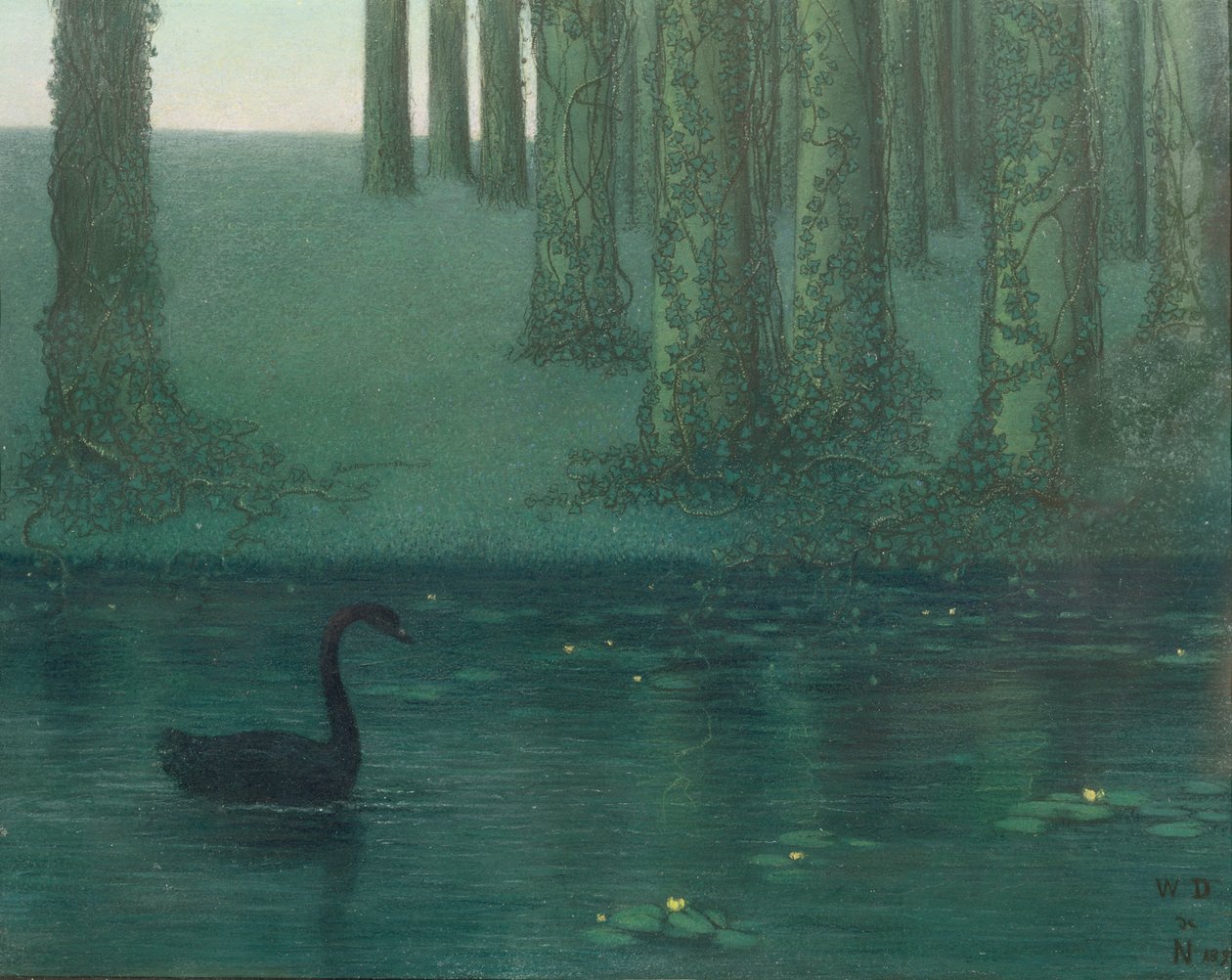 O Cisne Negro, 1896 (pastel sobre papel) de William Degouve de Nuncques