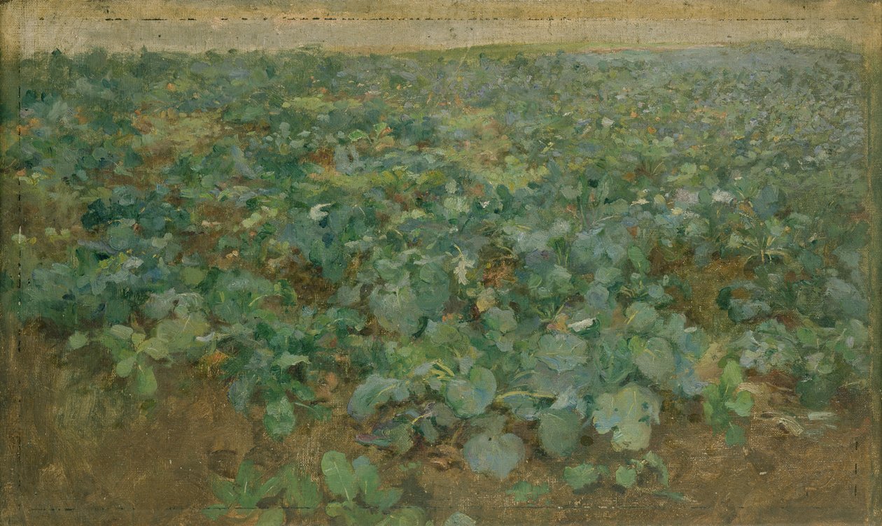 O campo do nabo de William Edward Stott