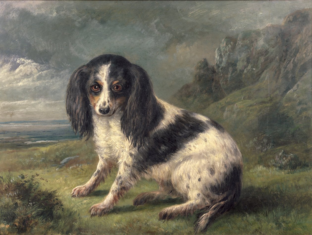 Um rei Charles Spaniel de William Ellis