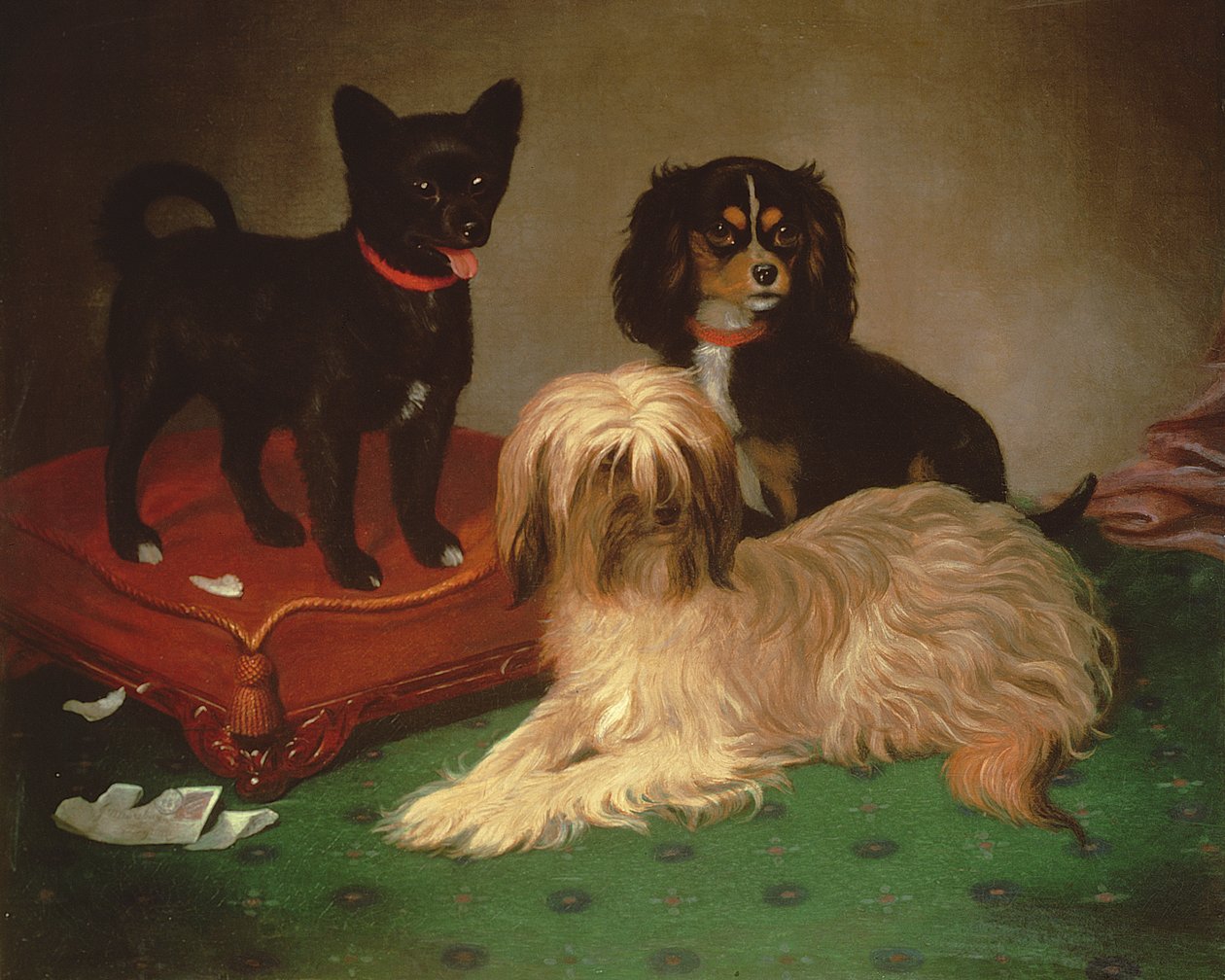 Três cães (óleo) de William Elsob Marshall