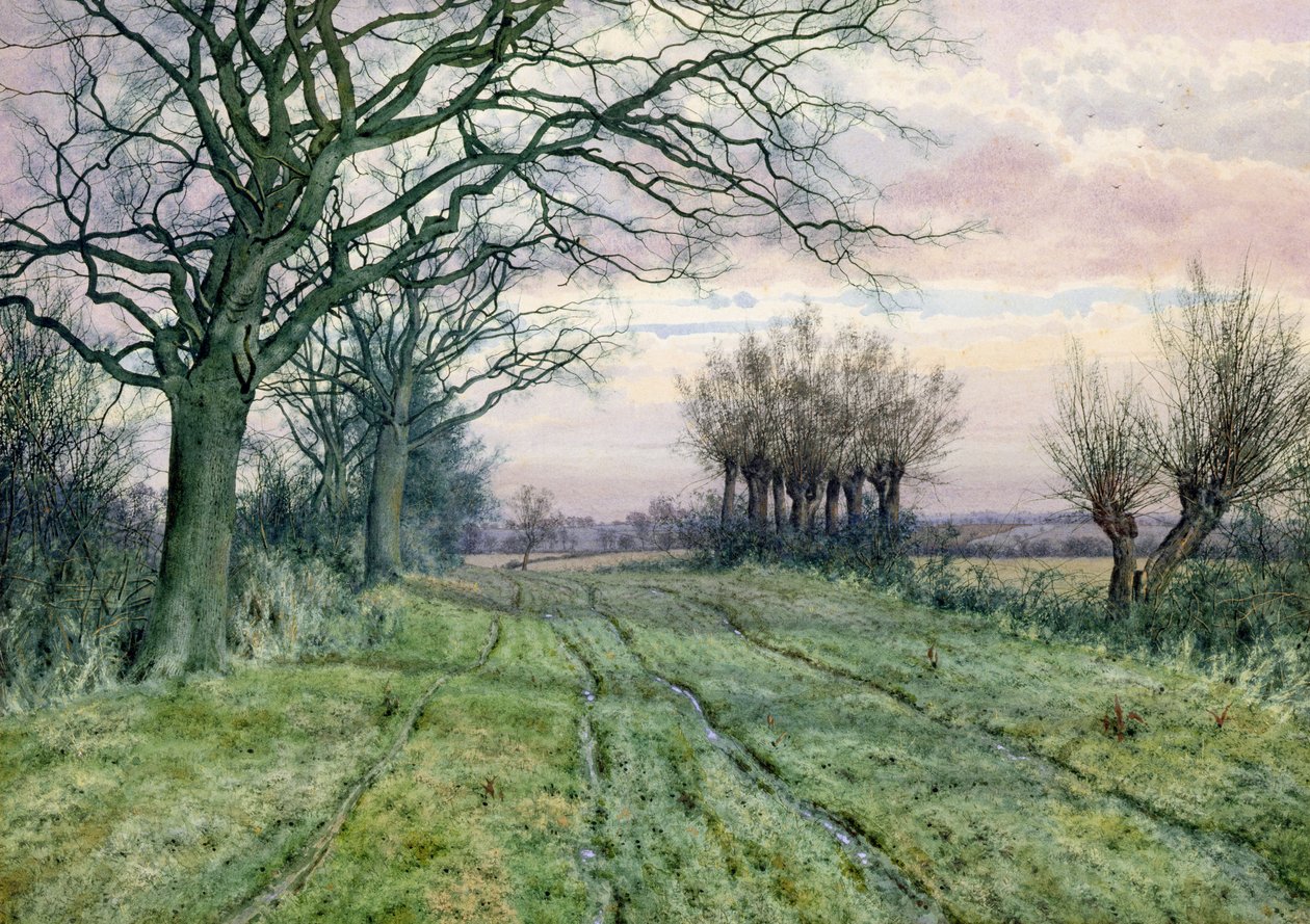 Uma Fenland Lane com salgueiros polidos, 1887 de William Fraser Garden