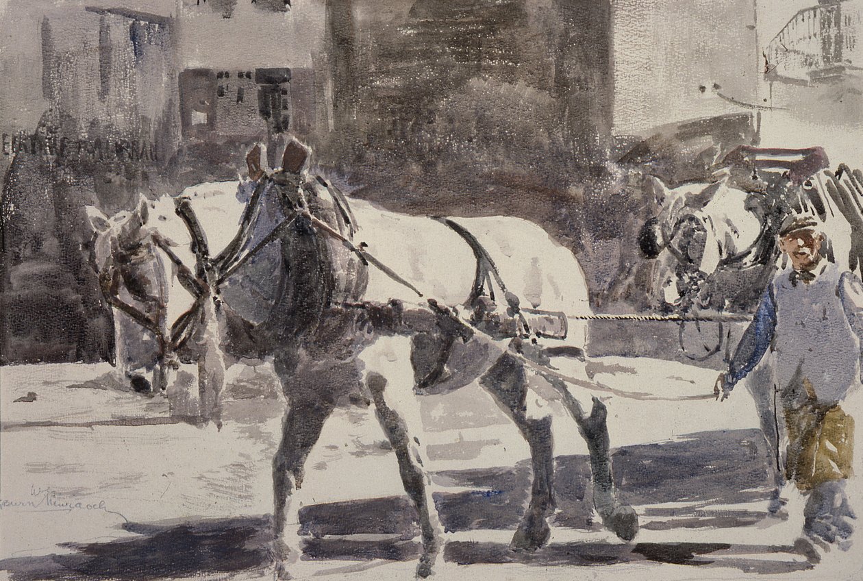 Dois cavalos Percheron de William G. Burn Murdoch